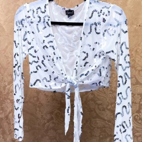 Sequin Tie-Front Sheer Creme Crop Top - Picture 7 of 12